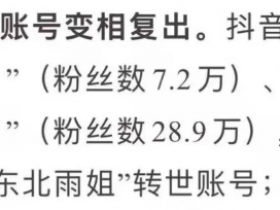 看完小雨妹和沧州老蒯的联动,东北雨姐没必要转世复活了