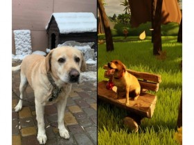 开发者新游即将发售前爱犬去世 紧急添加彩蛋新任务